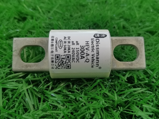 EV / HEV 250 Volt Araba DC Elektrikli Araç Şarj İstasyonu İçin Sigorta 300Amp