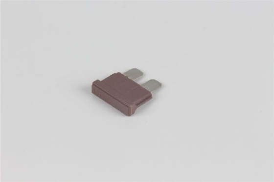80v 40 Amp Fişli Sigorta Hızlı Etkili PBT Malzeme Düşük Voltaj