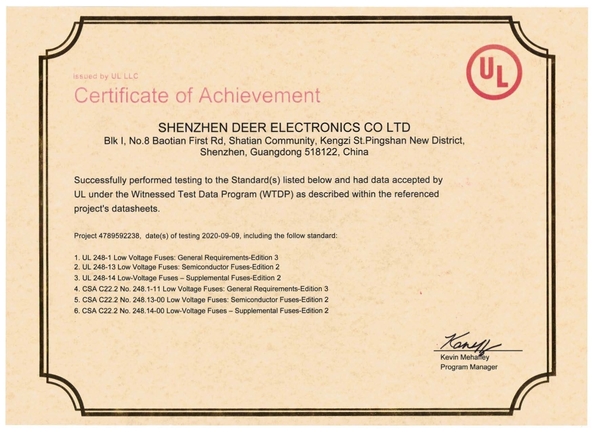 Çin Dissmann | Global Expert Fuse for EV | HEV | Photovoltaic | Battery | Energy Storage Solutions Sertifikalar