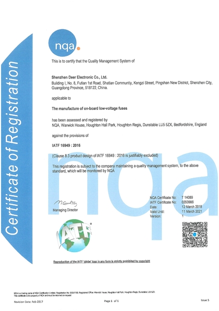 Çin Dissmann | Global Expert Fuse for EV | HEV | Photovoltaic | Battery | Energy Storage Solutions Sertifikalar